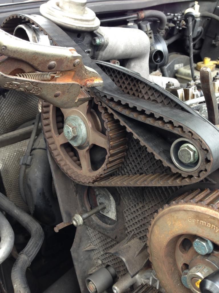 alh timing belt replacement