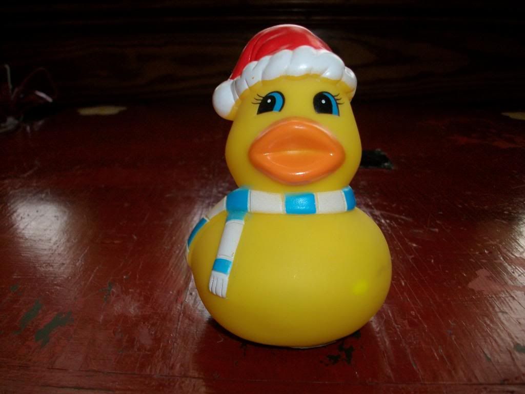 Duck Christmas photo: christmas duck from the party place 032.jpg