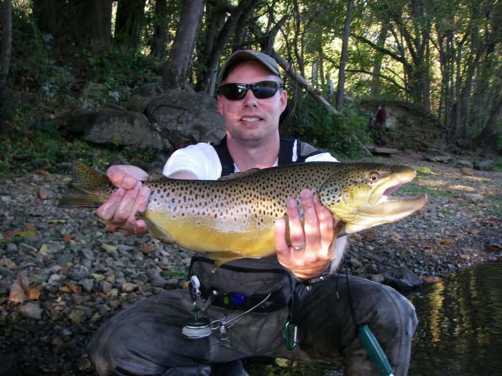 MikeMarkTaney2010015.jpg