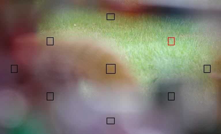 IMAGE: http://i801.photobucket.com/albums/yy298/captivatedbybeauty/technical/AF_Tests/IMG_4464.jpg