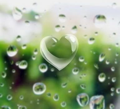 trai tim Pictures, Images and Photos