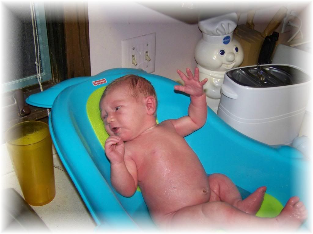 Lily photo Firstbath_Feb07_0002.jpg