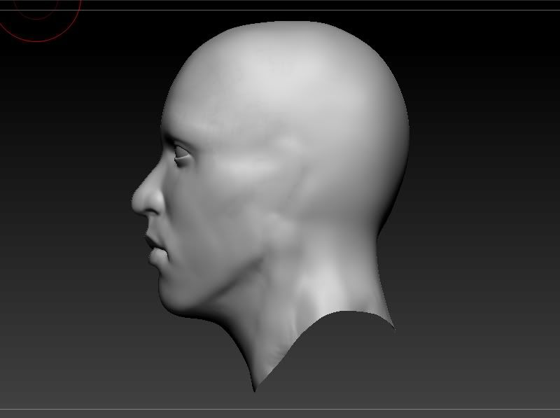 Head7.jpg