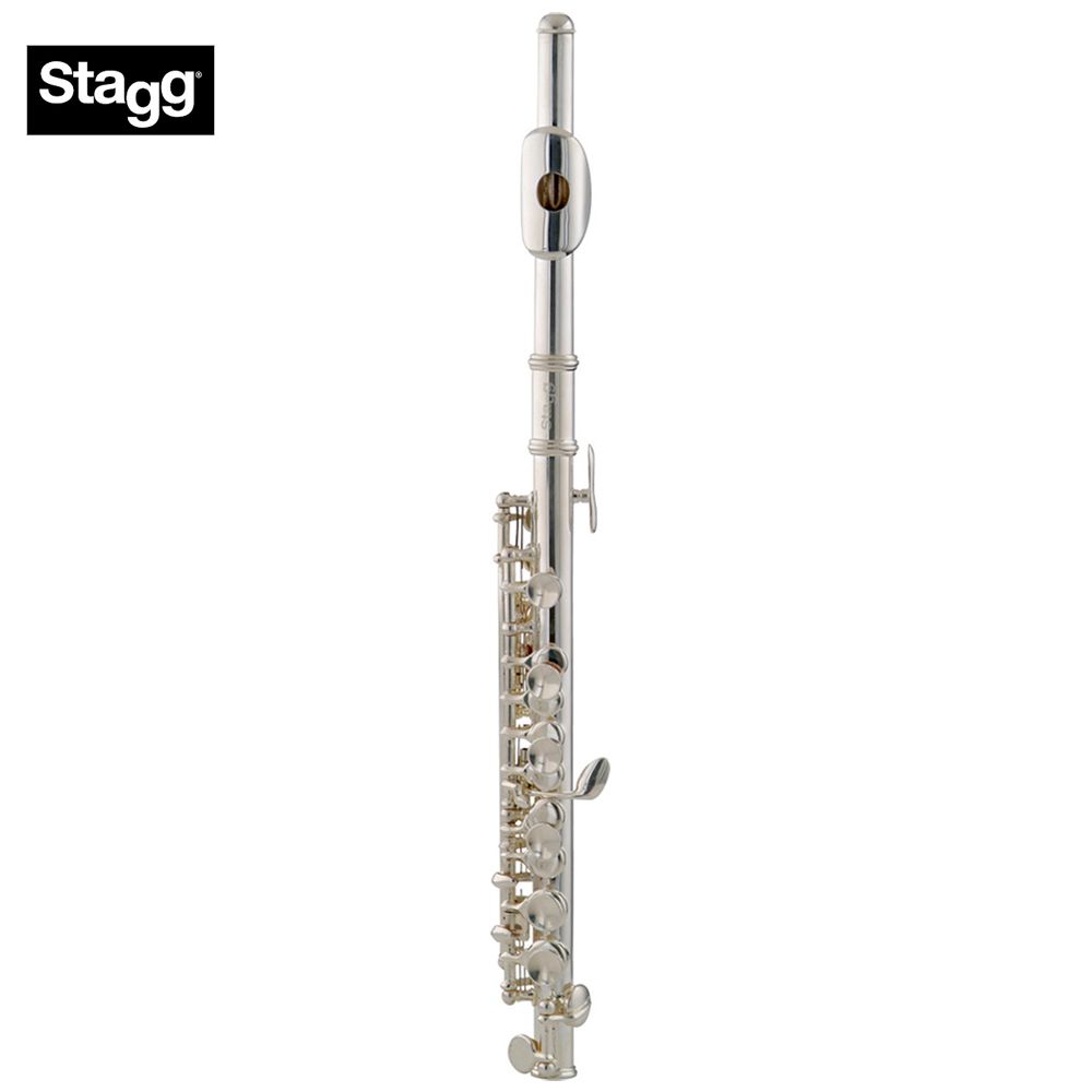 Nickel Plated C Piccolo Flute With Case Musical Instruments Piccolos