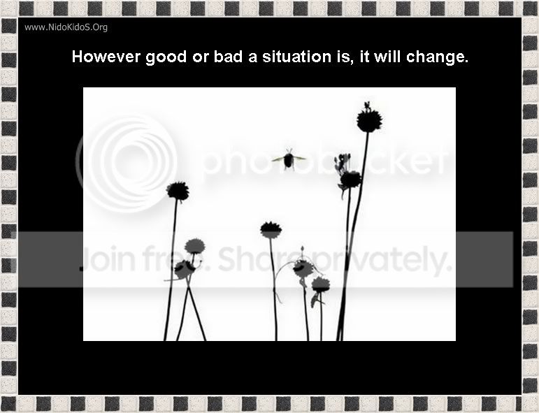 slide22_203.jpg