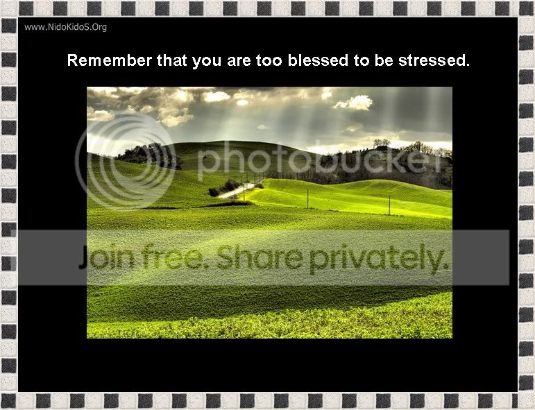 slide30_197.jpg