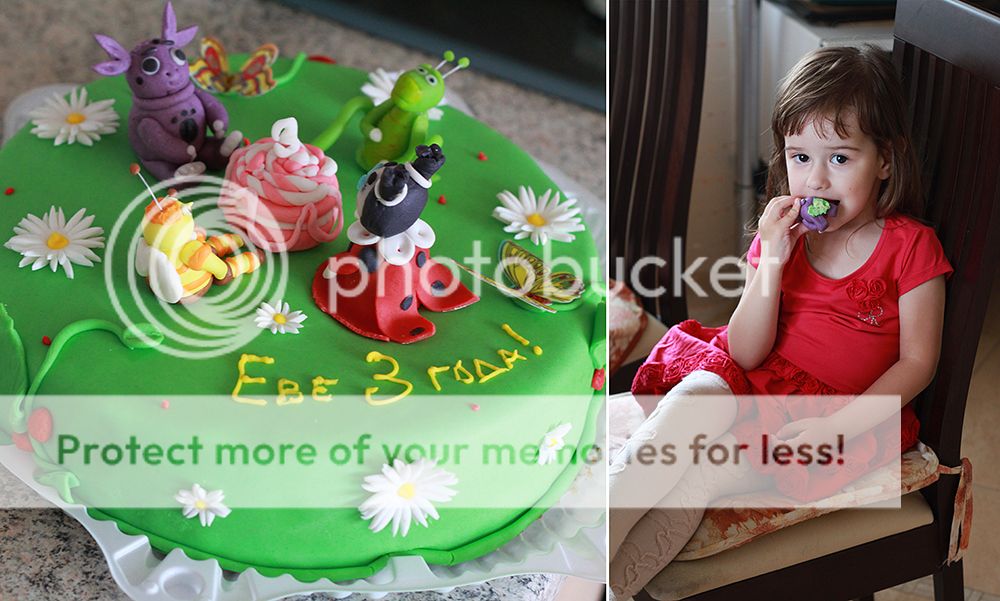  photo IMG_7061_zps7c88173b.jpg